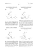 KINASE INHIBITORS diagram and image