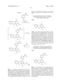 KINASE INHIBITORS diagram and image