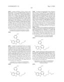 KINASE INHIBITORS diagram and image