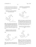 KINASE INHIBITORS diagram and image