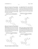 KINASE INHIBITORS diagram and image