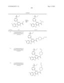 KINASE INHIBITORS diagram and image