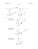 KINASE INHIBITORS diagram and image