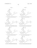 KINASE INHIBITORS diagram and image