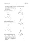 KINASE INHIBITORS diagram and image