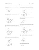 KINASE INHIBITORS diagram and image