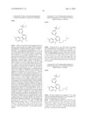 KINASE INHIBITORS diagram and image