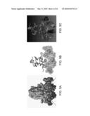 IDENTIFICATION AND USE OF SMALL MOLECULES TO MODULATE TRANSCRIPTION FACTOR FUNCTION AND TO TREAT TRANSCRIPTION FACTOR ASSOCIATED DISEASES diagram and image