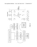 IDENTIFICATION AND USE OF SMALL MOLECULES TO MODULATE TRANSCRIPTION FACTOR FUNCTION AND TO TREAT TRANSCRIPTION FACTOR ASSOCIATED DISEASES diagram and image