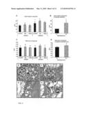 COMPOSITIONS AND METHODS FOR TREATMENT AND PREVENTION OF HYPERURICEMIA RELATED HEALTH CONSEQUNECES diagram and image