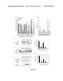 Novel Derivatives of Psammaplin A, A Method For Their Synthesis And Their Uses For The Prevention Or Treatment Of Cancer diagram and image