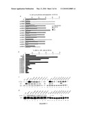 Novel Derivatives of Psammaplin A, A Method For Their Synthesis And Their Uses For The Prevention Or Treatment Of Cancer diagram and image