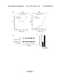 Novel Derivatives of Psammaplin A, A Method For Their Synthesis And Their Uses For The Prevention Or Treatment Of Cancer diagram and image