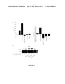 Novel Derivatives of Psammaplin A, A Method For Their Synthesis And Their Uses For The Prevention Or Treatment Of Cancer diagram and image