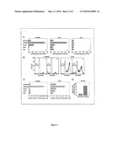 METHODS AND COMPOSITIONS FOR THE INHIBITION OF STAT5 IN PROSTATE CANCER CELLS diagram and image