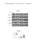 NOVEL HELPER PLASMID, DEFECTIVE SINDBIS VIRAL VECTORS AND METHODS OF USE THEREOF diagram and image