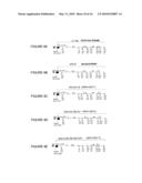 NOVEL HELPER PLASMID, DEFECTIVE SINDBIS VIRAL VECTORS AND METHODS OF USE THEREOF diagram and image