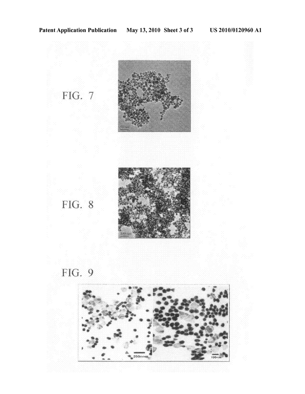 METHOD FOR PRODUCTION OF SILVER-CONTAINING NANO-STRUCTURE, AND SILVER-CONTAINING NANO-STRUCTURE - diagram, schematic, and image 04