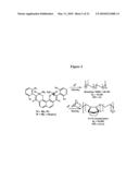 Neutral Bimetallic Transition Metal Phenoxyiminato Catalysts and Related Polymerization Methods diagram and image