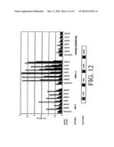 ANTI-HIV IMMUNOGENIC FORMULATION AND PROCESS FOR PREPARATION THEREOF diagram and image