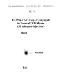 MEMBRANE-PERMEANT PEPTIDE COMPLEXES FOR TREATMENT OF SEPSIS diagram and image