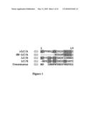 CHIMERA BOTULINUM TOXIN TYPE E diagram and image