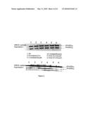 CHIMERA BOTULINUM TOXIN TYPE E diagram and image