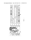 CRYSTAL STRUCTURE OF BIFUNCTIONAL TRANSGLYCOSYLASE PBP1B FROM E. COLI AND INHIBITORS THEREOF diagram and image