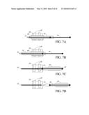 CELLULOSIC-BASED INTERFERENCE DOMAIN FOR AN ANALYTE SENSOR diagram and image