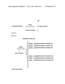 INCENTIVE SPIROMETRY DEVICES BY THE EMPLOYMENT OF VERBAL SIMULATED HUMANLIKE VOICES AND USING A CAPACITIVE SENSING COMPONENT FOR DETERMINING PATIENT USE AND MEASUREMENT OBTAINED FROM SUCH USE diagram and image