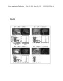 Organ regeneration method utilizing blastocyst complementation diagram and image