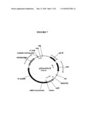 Cell Cycle Genes and Related Methods diagram and image