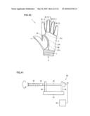 SPORTS GLOVE diagram and image