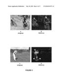 Content-Aware Image and Video Resizing by Anchor Point Sampling and Mapping diagram and image