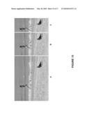 Content-Aware Image and Video Resizing by Anchor Point Sampling and Mapping diagram and image