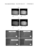 X-RAY AND/OR METAL DETECTABLE ARTICLES AND METHOD OF MAKING THE SAME diagram and image