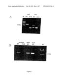 Method for the detection of gene transcripts in blood and uses thereof diagram and image