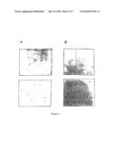 Method for the detection of gene transcripts in blood and uses thereof diagram and image