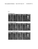 GOLD NANOPARTICLE BASED PROTEASE IMAGING PROBES AND USE THEREOF diagram and image