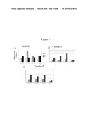 Pluripotent Stem Cell Culture on Micro-Carriers diagram and image