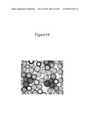 Pluripotent Stem Cell Culture on Micro-Carriers diagram and image