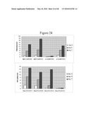 Pluripotent Stem Cell Culture on Micro-Carriers diagram and image