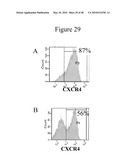 Pluripotent Stem Cell Culture on Micro-Carriers diagram and image