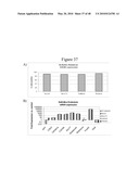 Pluripotent Stem Cell Culture on Micro-Carriers diagram and image