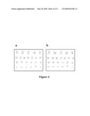 Methods and Compositions for Cell Attachment and Cultivation on Planar Substrates diagram and image