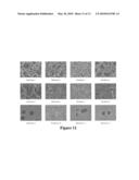 Methods and Compositions for Cell Attachment and Cultivation on Planar Substrates diagram and image