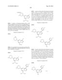 METHODS FOR INHIBITING PROTEIN KINASES diagram and image