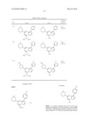 METHODS FOR INHIBITING PROTEIN KINASES diagram and image