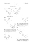 METHODS FOR INHIBITING PROTEIN KINASES diagram and image