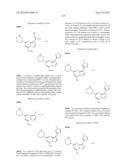 METHODS FOR INHIBITING PROTEIN KINASES diagram and image